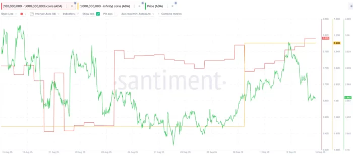Whales Buying Cardano before FOMC Chart