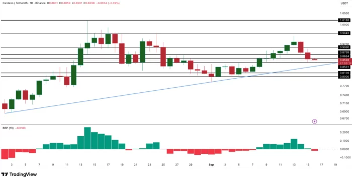 Whales Buying Cardano before FOMC Trading View
