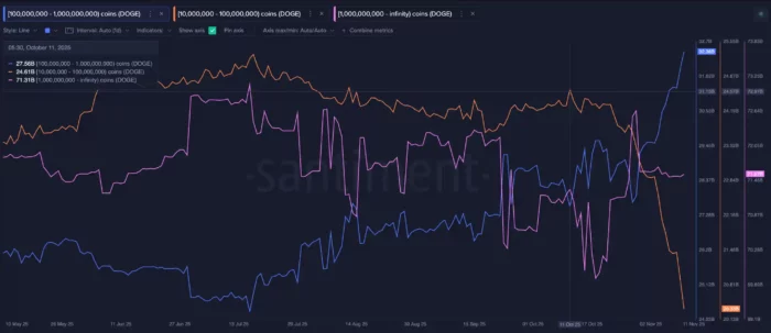 DOGE Whales directions