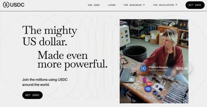 What is USDC Stable Coin?