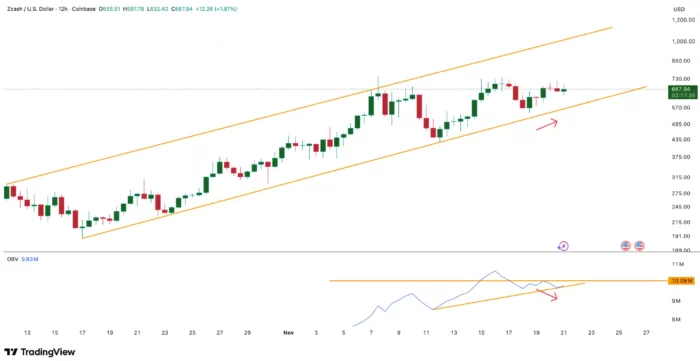 ZCASH returning volume Nov 2025